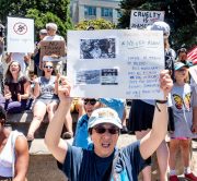 Keeping Families Together